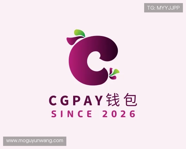 发现CGPay